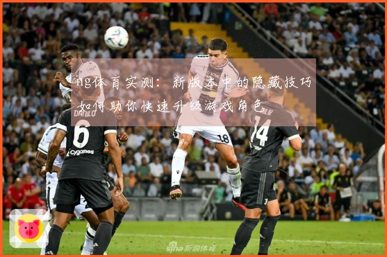 ng体育实测：新版本中的隐藏技巧如何助你快速升级游戏角色