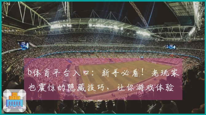 b体育平台入口：新手必看！老玩家也震惊的隐藏技巧，让你游戏体验up up！