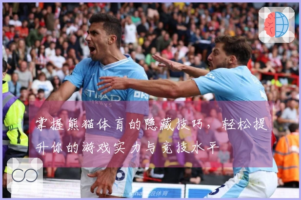 掌握熊猫体育的隐藏技巧，轻松提升你的游戏实力与竞技水平