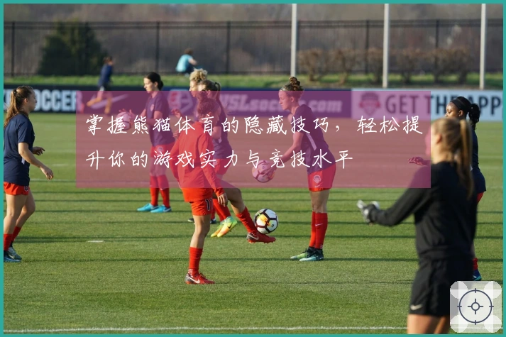 掌握熊猫体育的隐藏技巧，轻松提升你的游戏实力与竞技水平