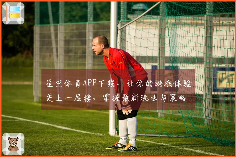 星空体育APP下载，让你的游戏体验更上一层楼，掌握最新玩法与策略